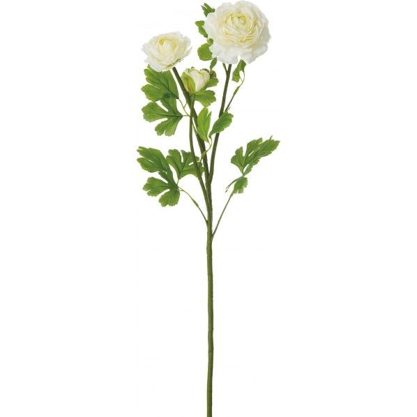 ラナンキュラス*3