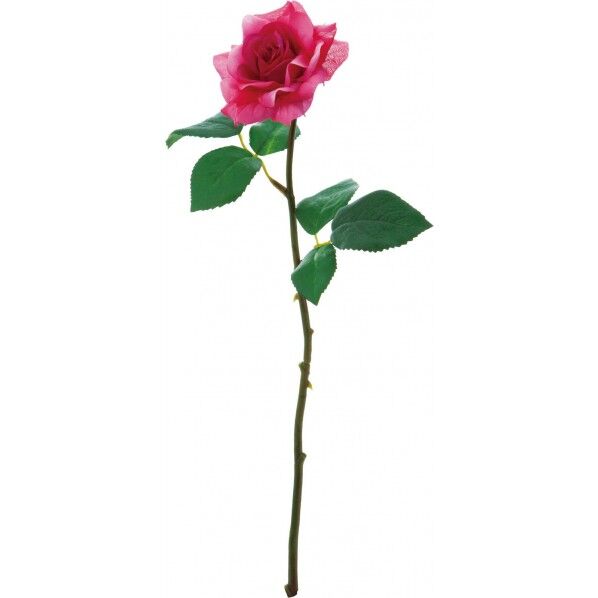 ローズオーシャン BTY 便利グッズ(文具・OA機器) FA -6737 1本