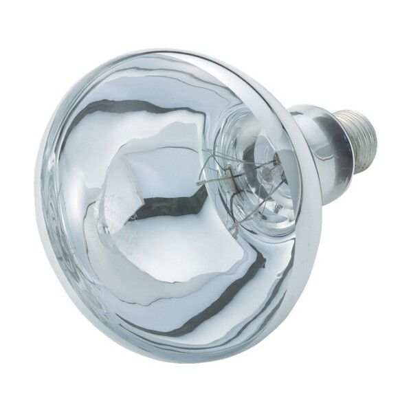 レフランプ(100V)