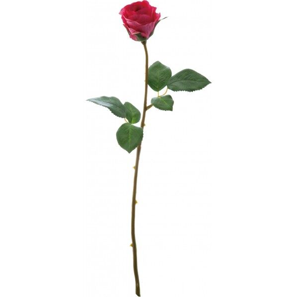 ローズアバランチェ BTY 便利グッズ(文具・OA機器) FA -6816 1本