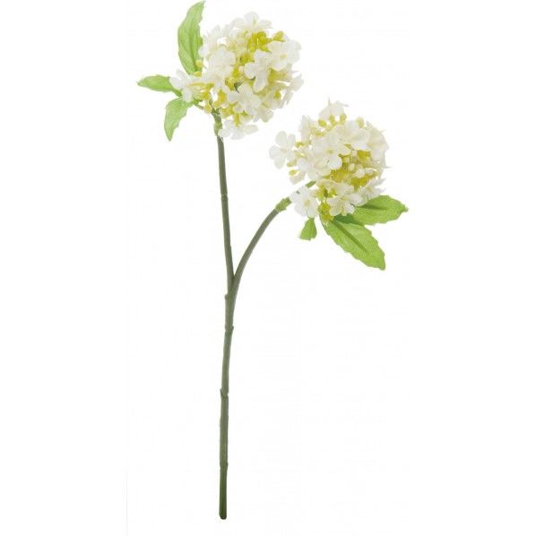 コデマリショート