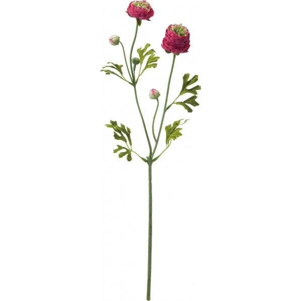 レアードラナンキュラススプレー BTY 便利グッズ(文具・OA機器) FA -6991 1本