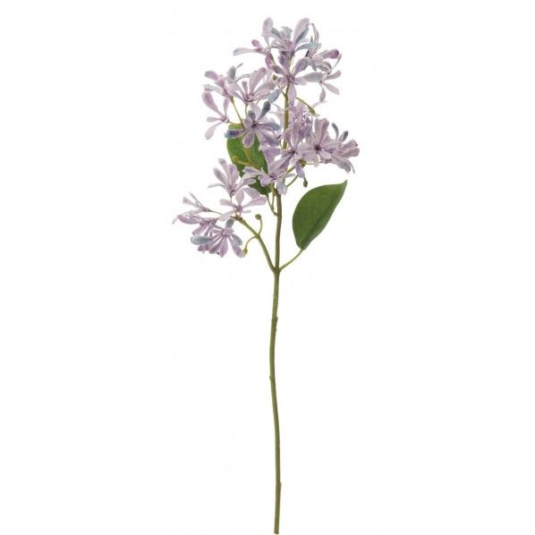 ワイルドフラワースプレー