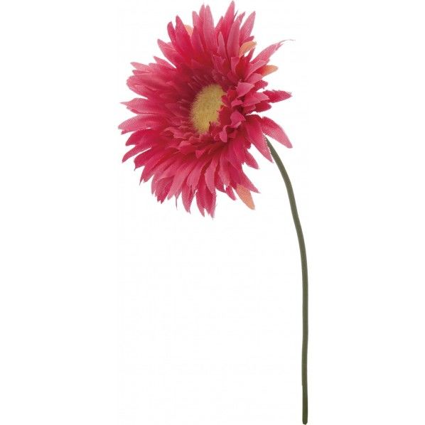 ガーベラピック