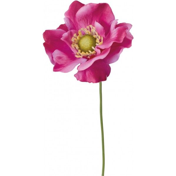 アネモネピック