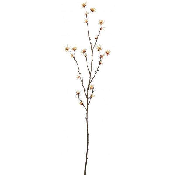 ウィッチヘーゼルブランチ Y 便利グッズ(文具・OA機器) FA -7042 1本