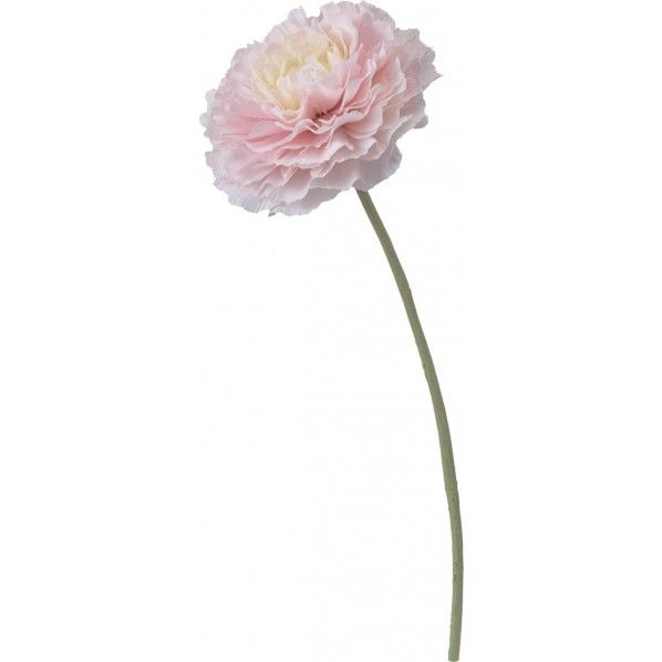 パフュームラナンキュラス L/P 便利グッズ（文具・OA機器） FA -7053 1本