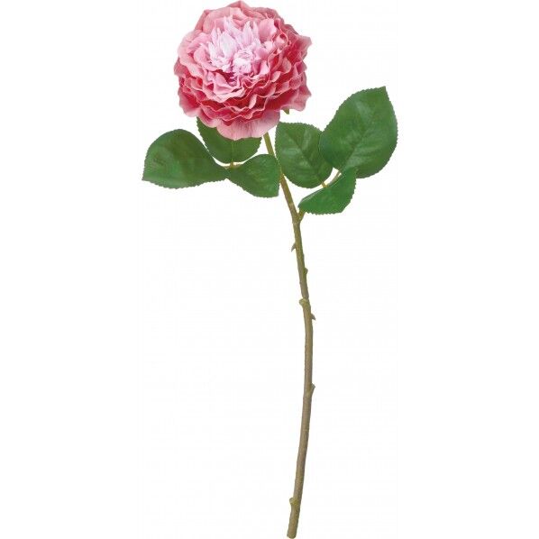 ジュリアンローズ D/P 便利グッズ(文具・OA機器) FA -7063 1本