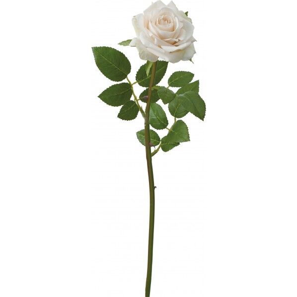 エレガントローズ CR 便利グッズ(文具・OA機器) FA -7068 1本