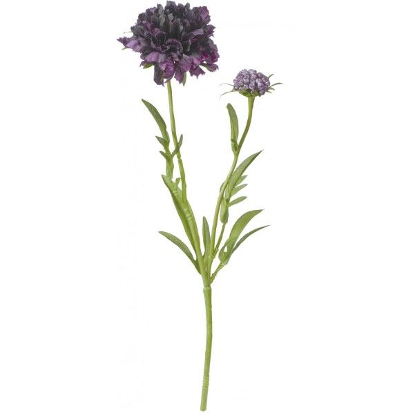 フリンジスカビオサ DPU 便利グッズ(文具・OA機器) FA -7077 1本