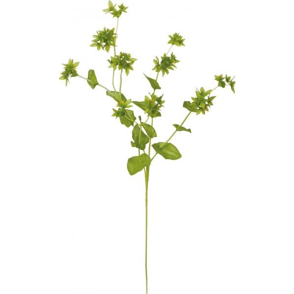 ププレリウム GR 便利グッズ(文具・OA機器) FA -7081 1本