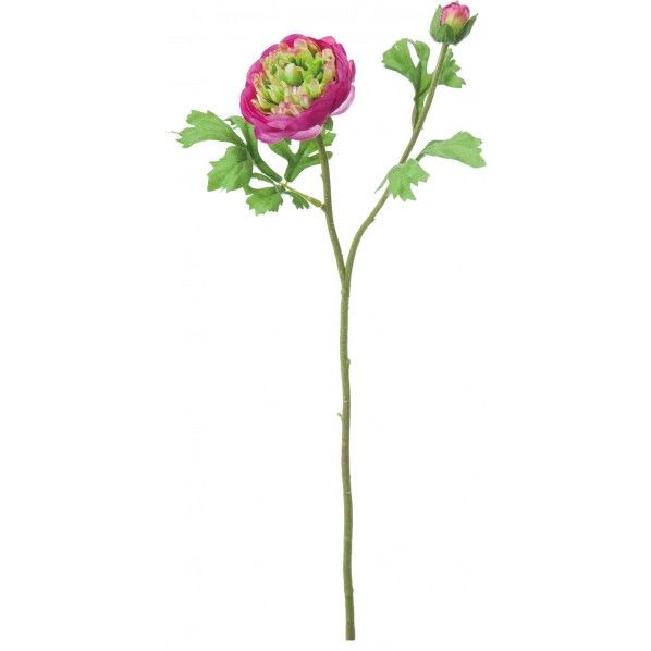 コレッタラナンキュラス B/G 便利グッズ(文具・OA機器) FA -7138 1本