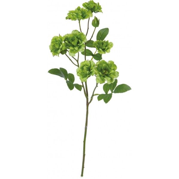 フリルレアローズスプレー