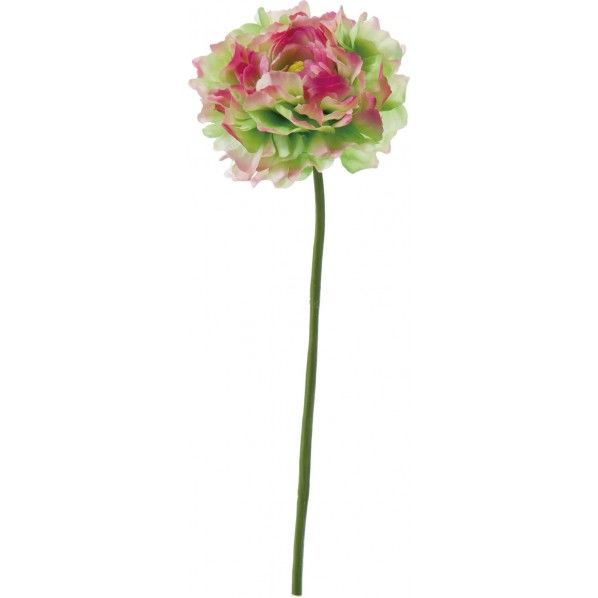 ポンポンラナンキュラス G/P 便利グッズ(文具・OA機器) FA -7154 1本