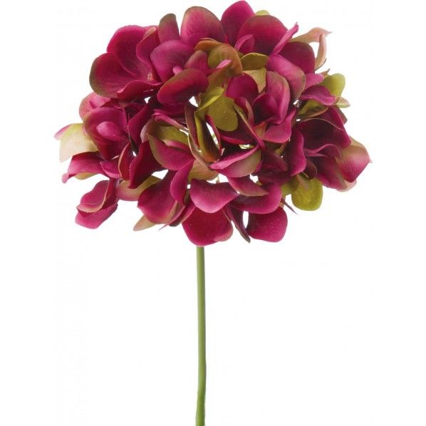 ハイドレンジアピック