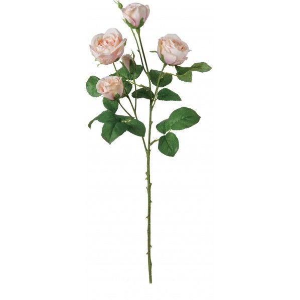 カメリアローズスプレー C/P 便利グッズ(文具・OA機器) FA -7170 1本