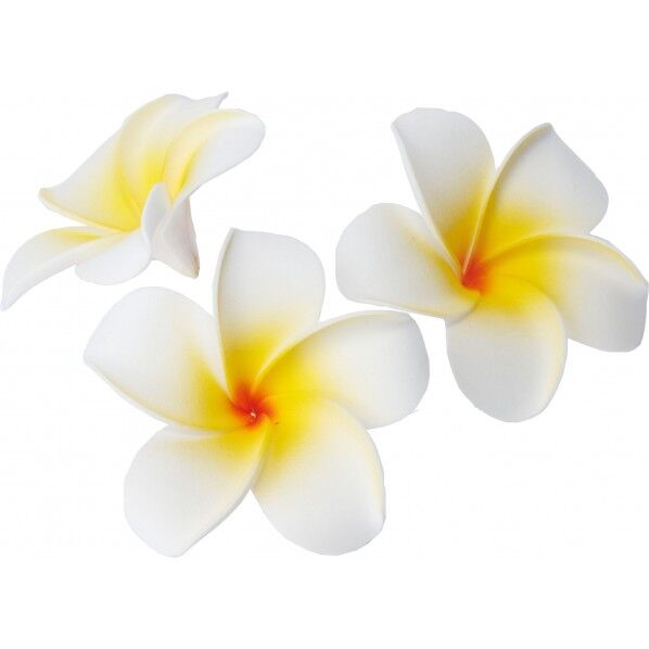 プルメリアボックス