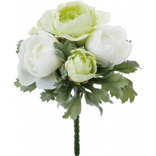 ラナンキュラスブッシュ