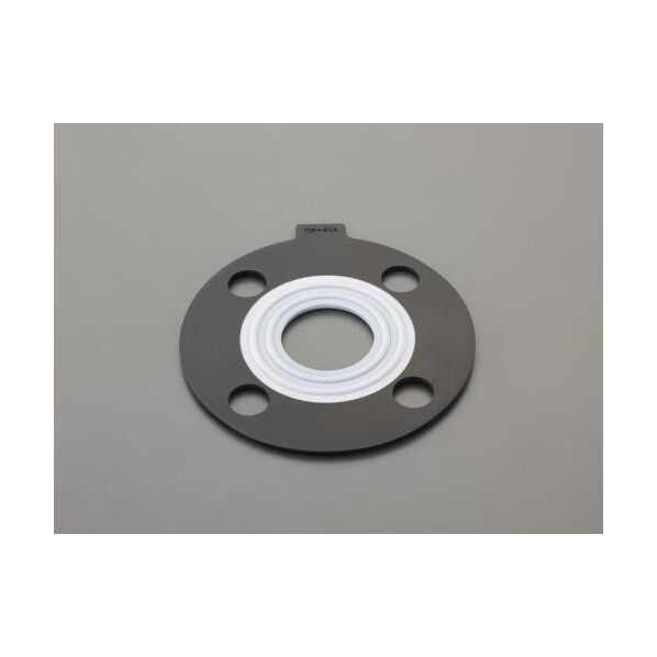 # 65 フランジパッキン(PTFE被覆)