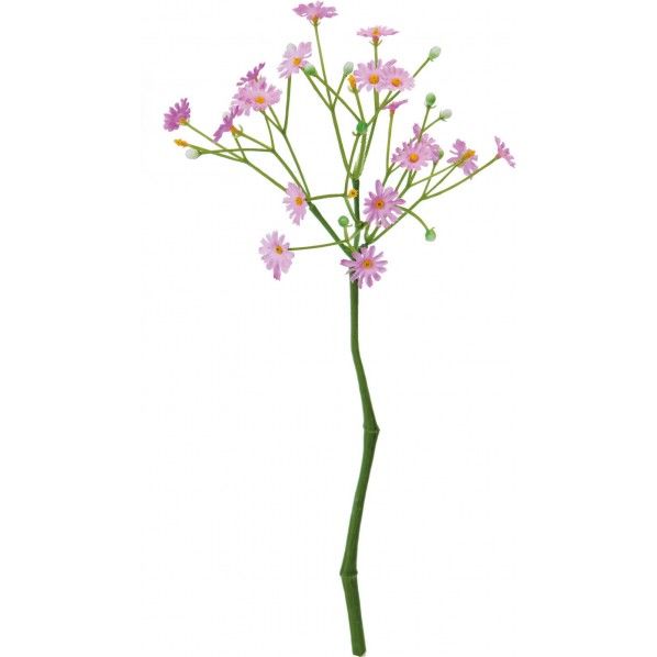 ミニクラスターデイジーピック