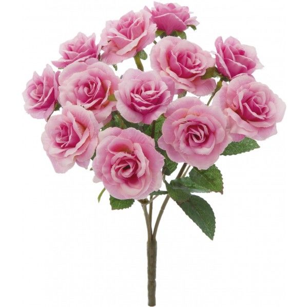 ミニローズブッシュ