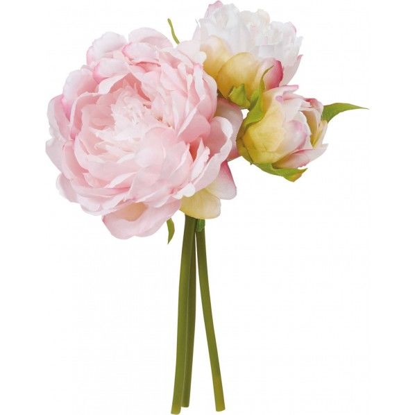 ピオニーバンドル