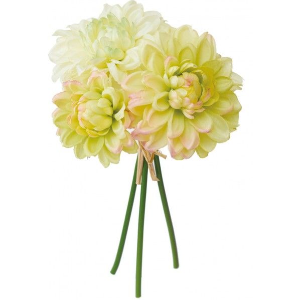 ダリアバンドル*3