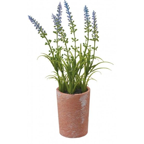 ラベンダーポット