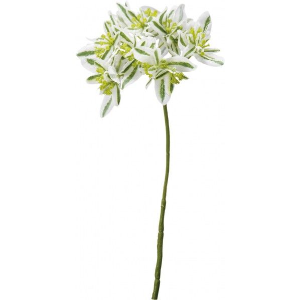 ユーフォルビア G/W 便利グッズ(文具・OA機器) FG -4378 1本