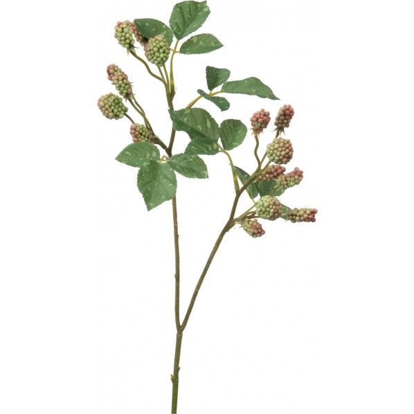 ラズベリーピック