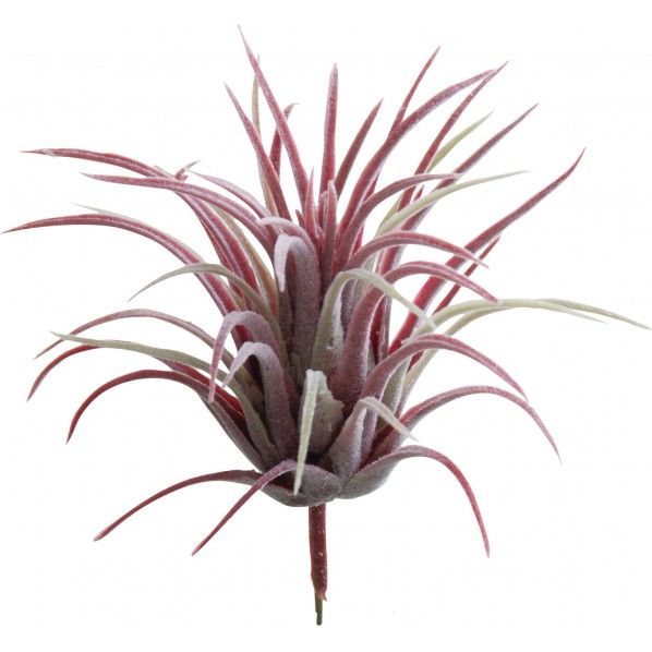 チランジア BUR 便利グッズ(文具・OA機器) FG -4446 1本