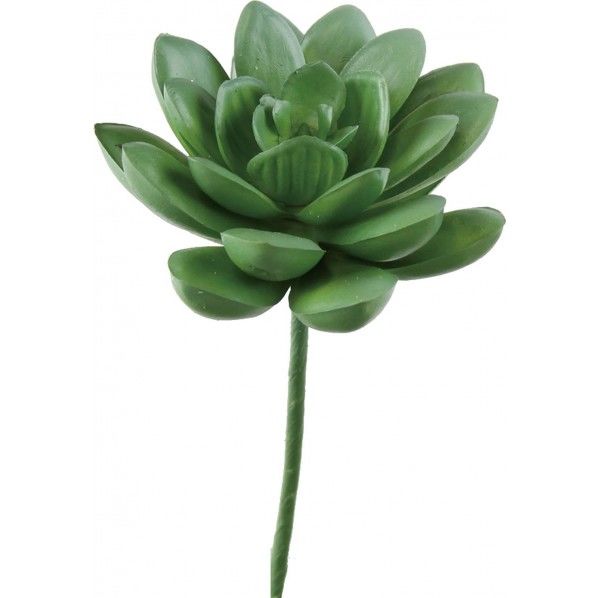 タツタカクタスピック GR 便利グッズ(文具・OA機器) FG -4463 1本