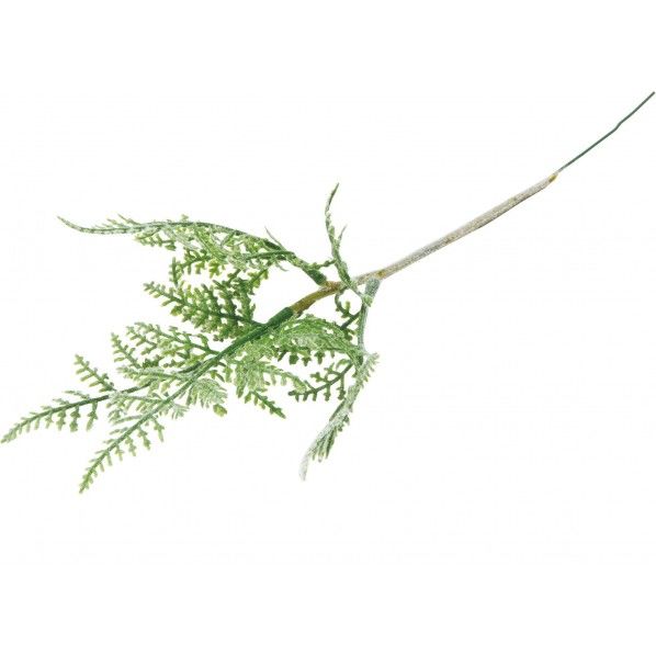 レディーファンピック GR 便利グッズ（文具・OA機器） FG -4481 1本