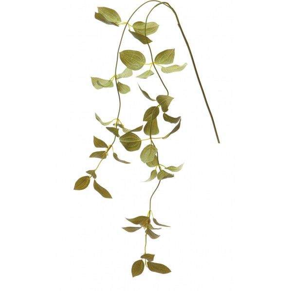 リキュウソウ DGR 便利グッズ（文具・OA機器） FG -4491 1本