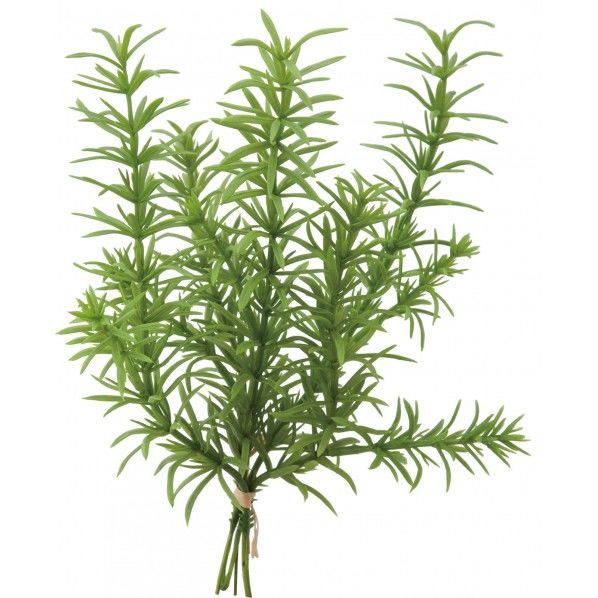 ローズマリーバンチ