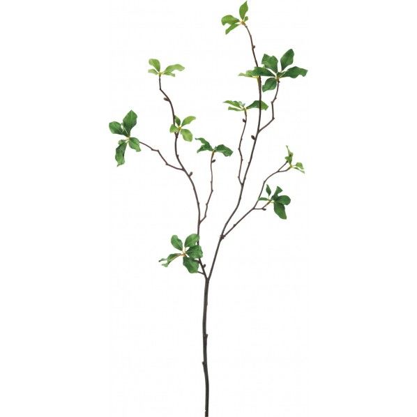 ピトスポラム GR 便利グッズ(文具・OA機器) FG -4514 1本