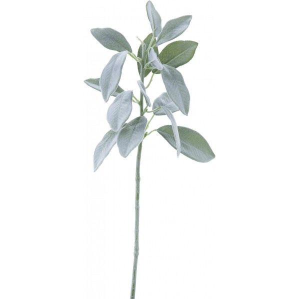 ラムズイヤーショート GR 便利グッズ(文具・OA機器) FG -4569 1本