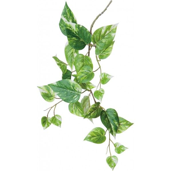 マーブルポトススプレー GR 便利グッズ(文具・OA機器) FG -4597 1本