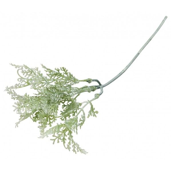 グリーンジンジャーピック W/G 便利グッズ(文具・OA機器) FG -4618 1本