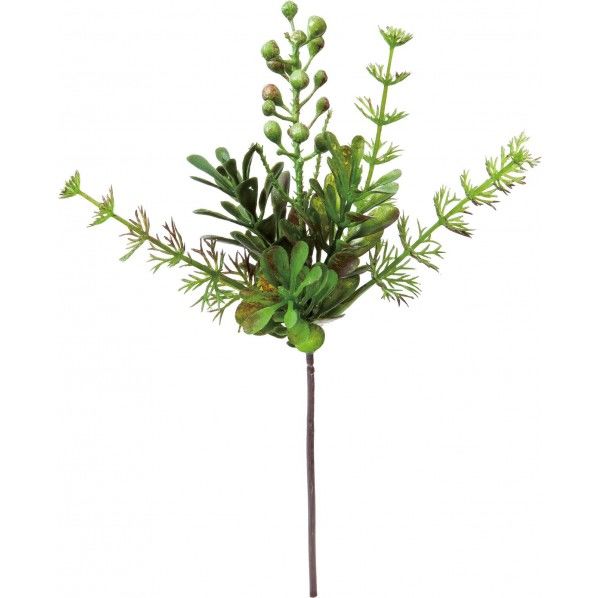 ブラッシュカクタスグリーンピック GR 便利グッズ（文具・OA機器） FG -4637 1本