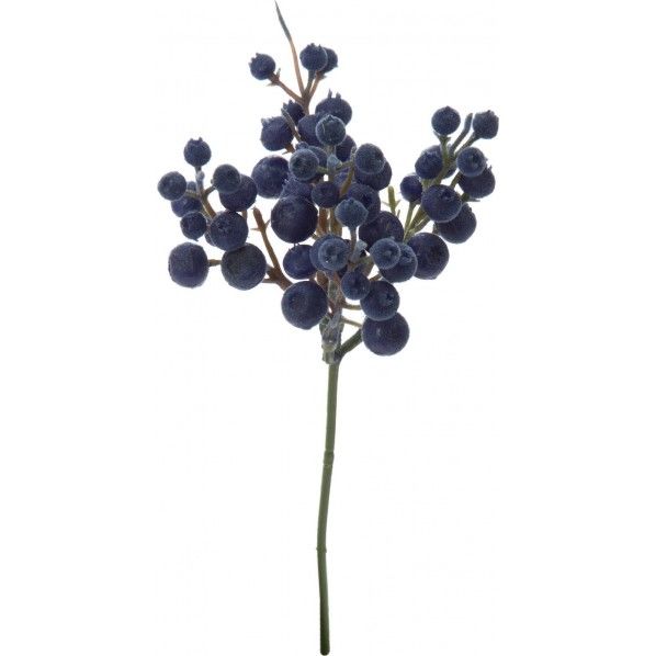 フロッキーベリーピック