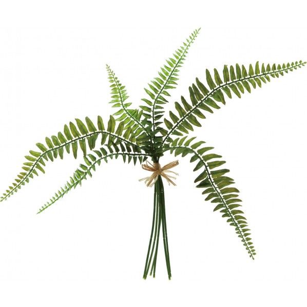 プラスチックシダーバンドル GR 便利グッズ（文具・OA機器） FG -4695 1束