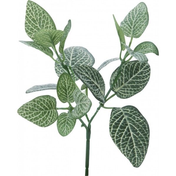 ミニフィトニアブッシュ GR 便利グッズ(文具・OA機器) FG -4712 1本