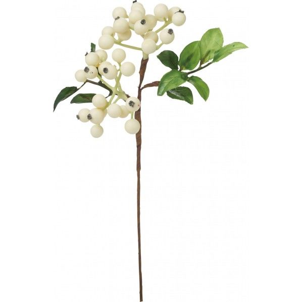 フレッシュベリーピック