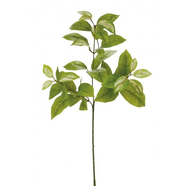 ホヤスプレー GR 便利グッズ（文具・OA機器） FG -4768 1本