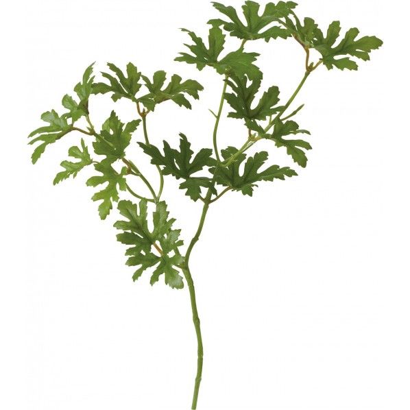 ゼラニウムリーフピック GR 便利グッズ（文具・OA機器） FG -4774 1本