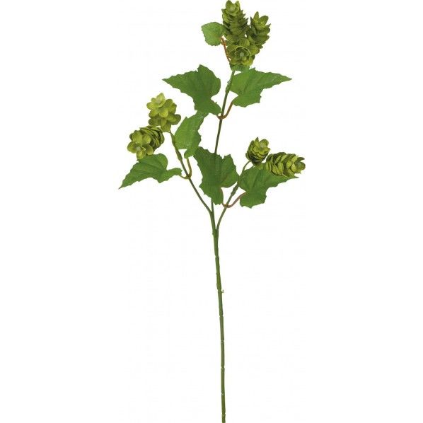 ホップスプレー