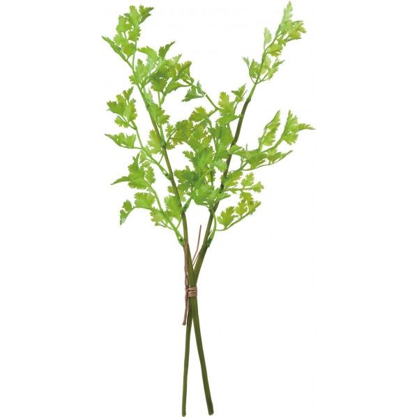 パセリピック2P GR 便利グッズ(文具・OA機器) FG -4837 1束