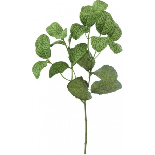 セージスプレー