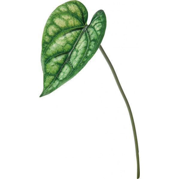 ミニカラジウムリーフ GR 便利グッズ（文具・OA機器） FG -4841 1本